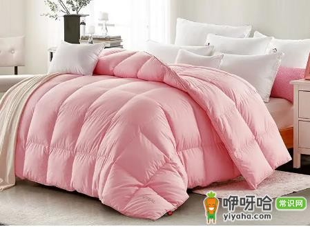 鹅绒被淋雨了怎么办?3步正确处理避免结块