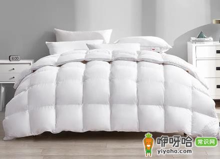 鹅绒被淋雨了怎么办?3步正确处理避免结块