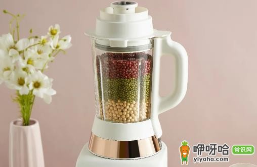 破壁机绞肉选干粉杯还是玻璃杯?哪个更好用?