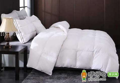 鹅绒被有气味怎么回事?3大原因+简单解决方法