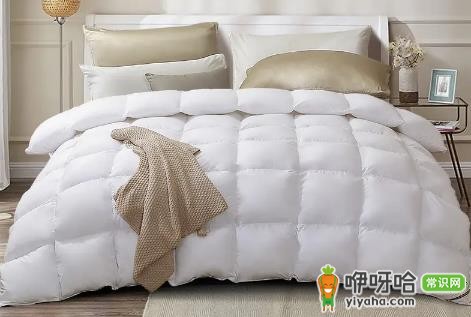 鹅绒被有气味怎么回事?3大原因+简单解决方法