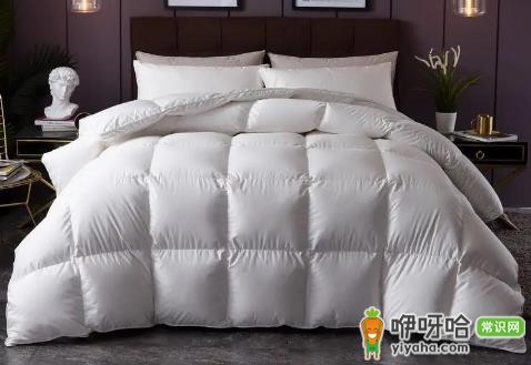 鹅绒被有气味怎么回事?3大原因+简单解决方法