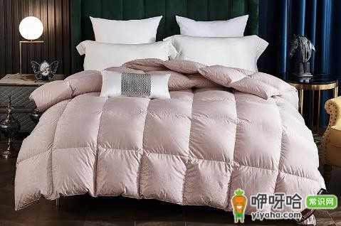 鹅绒被防螨虫吗?3个真相告诉你到底能不能防