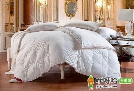 鹅绒被防潮湿吗?真相揭秘+3个实用防潮技巧