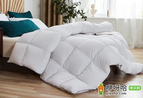 鹅绒被防潮湿吗?真相揭秘+3个实用防潮技巧