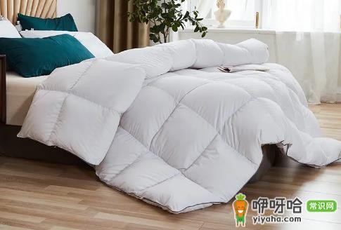 鹅绒被多少度盖合适?10-25℃分厚度适用建议