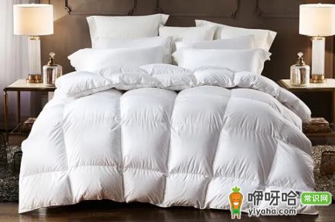 鹅绒被多少度盖合适?10-25℃分厚度适用建议