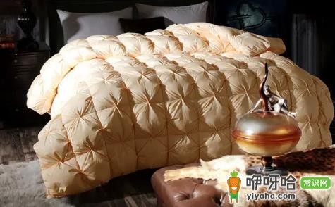 鹅绒被可以干洗吗?脏了记住这3点不踩坑