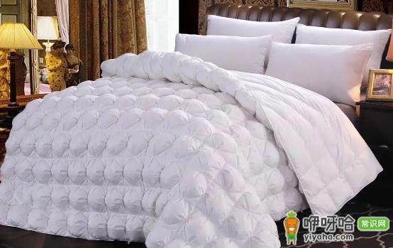鹅绒被可以干洗吗?脏了记住这3点不踩坑