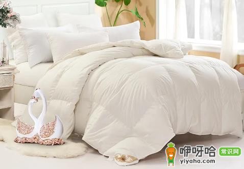 鹅绒被可以干洗吗?脏了记住这3点不踩坑
