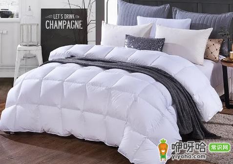 鹅绒被可以洗衣机洗吗?3个清洗注意事项需注意