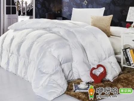 鹅绒被可以洗衣机洗吗?3个清洗注意事项需注意