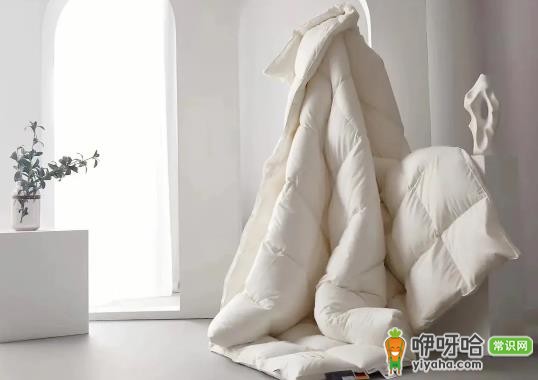 鹅绒被可以晒太阳吗?晒多久合适?3个注意事项必看