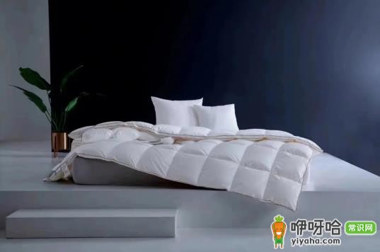 鹅绒被可以晒太阳吗?晒多久合适?3个注意事项必看