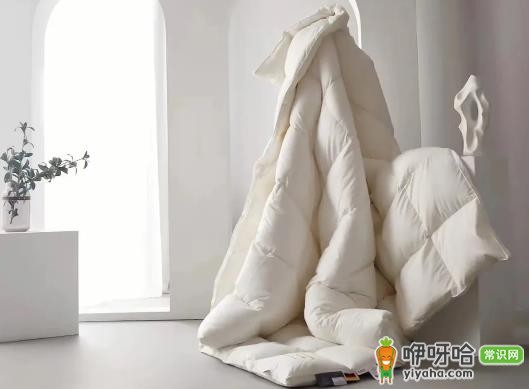 鹅绒被不暖和怎么回事?6大原因及解决方法