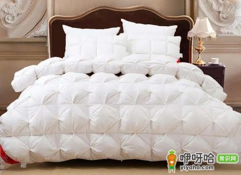 鹅绒被不暖和怎么回事?6大原因及解决方法