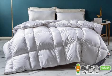 鹅绒被钻绒怎么回事?3大原因及解决办法