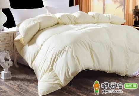 鹅绒被钻绒怎么回事?3大原因及解决办法