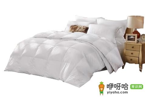 鹅绒被钻绒怎么回事?3大原因及解决办法