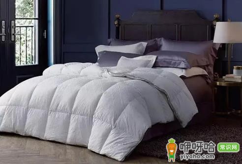 鹅绒被充绒量多少才暖和?选500g以上更保暖