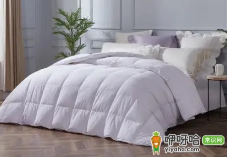 鹅绒被充绒量多少才暖和?选500g以上更保暖