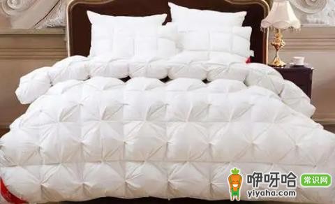 鹅绒被充绒量多少才暖和?选500g以上更保暖