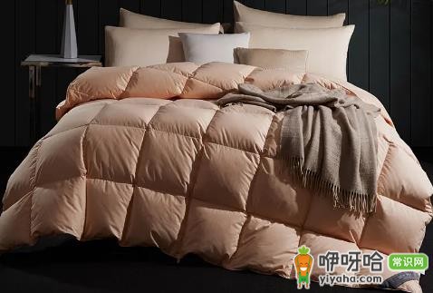鹅绒被蓬松度最高是多少?常见最高数值解析