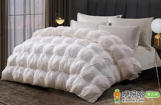 鹅绒被蓬松度多少算好?700+才是优质标准