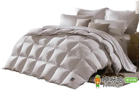 鹅绒被蓬松度多少算好?700+才是优质标准