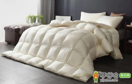 鹅绒蓬松度800相当于多少cm厚度