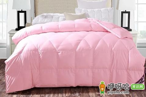 鹅绒蓬松度800相当于多少cm厚度