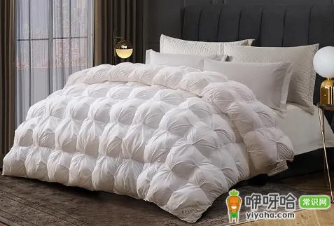 鹅绒蓬松度800相当于多少cm厚度