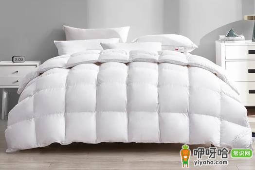 1200克鹅绒被适合冬天吗?冬天盖保暖吗?