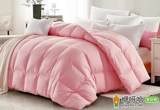 1200克鹅绒被适合冬天吗?冬天盖保暖吗?