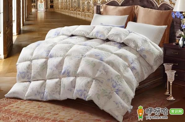 鹅绒被C类别能盖吗?3个安全要点必看