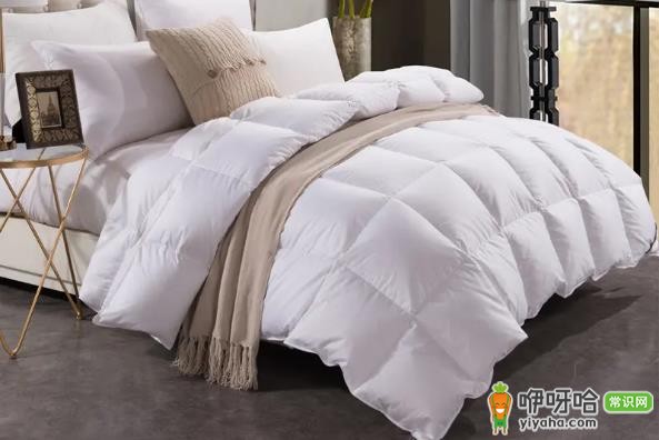 鹅绒被C类别能盖吗?3个安全要点必看