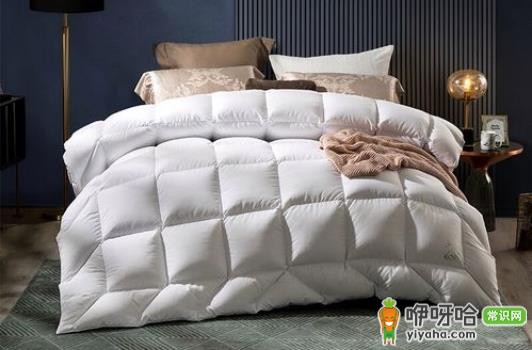 鹅绒被扭花vs方格:3点对比告诉你哪个更好