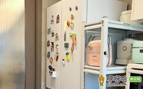 网购冰箱送货上门验收5大要点 简单实用不踩坑