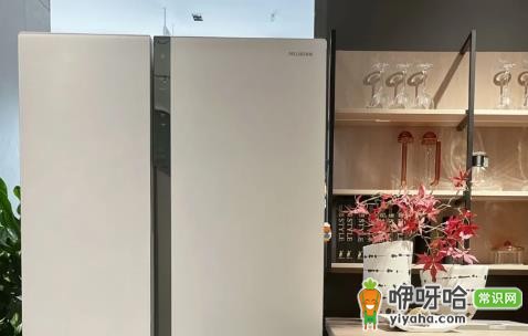 2024网购冰箱哪里买好?5大靠谱平台推荐