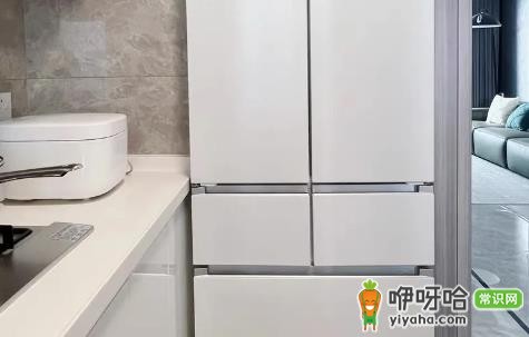 2024网购冰箱哪里买好?5大靠谱平台推荐