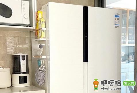 2024网购冰箱哪里买好?5大靠谱平台推荐