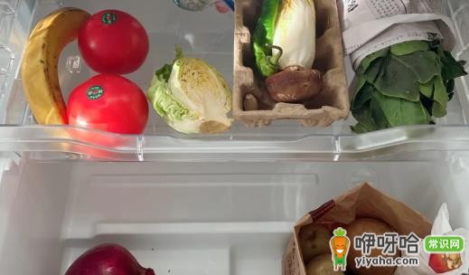 新买的冰箱插电三分钟可以用吗?