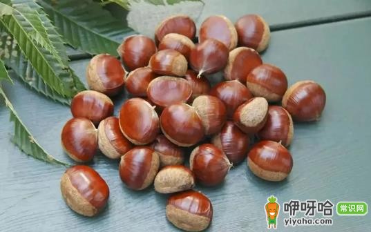 炒熟的板栗怎么保存新鲜不坏?3个实用方法