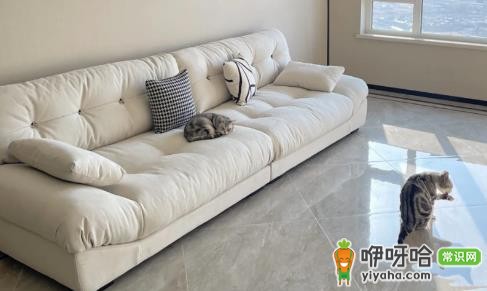 2米8沙发适合多大客厅?多大面积客厅摆放合适?