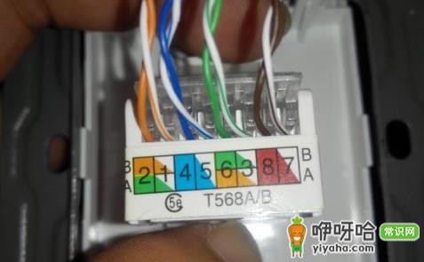 装修墙里埋光纤还是网线?3个实用选择建议