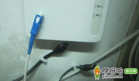 装修墙里埋光纤还是网线?3个实用选择建议