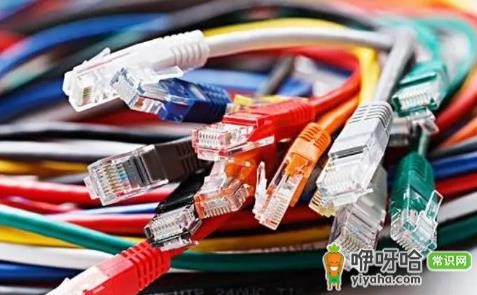 装修时三个卧室都留网线有必要吗?