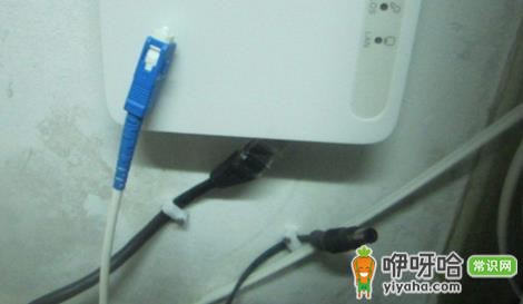 家装光纤分到每个房间有必要吗?2024 3大理由解析