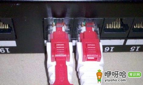 家装光纤分到每个房间有必要吗?2024 3大理由解析