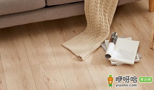 木地板只能干拖吗?3个拖地技巧帮你解惑